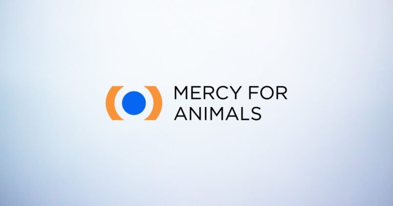 mercy for animals
